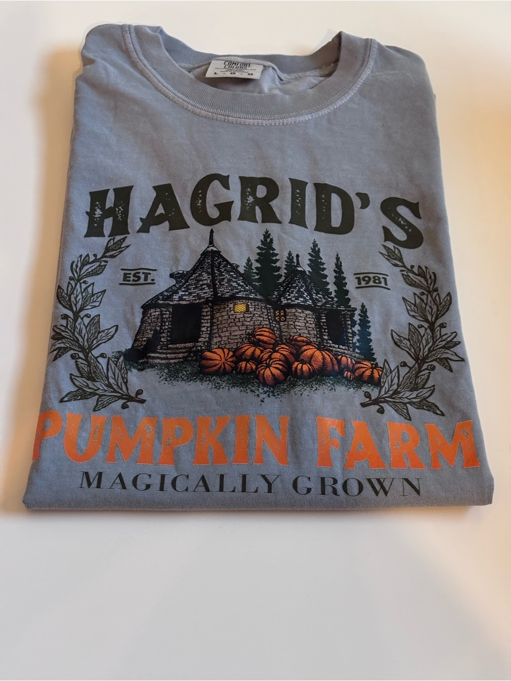 Comfort Colors Hagrid’s Pumpkin Farm Tee, Men’s/Unisex Lg, Faded Blue Gray